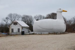 El Gran Pato en Long Island, Nueva York