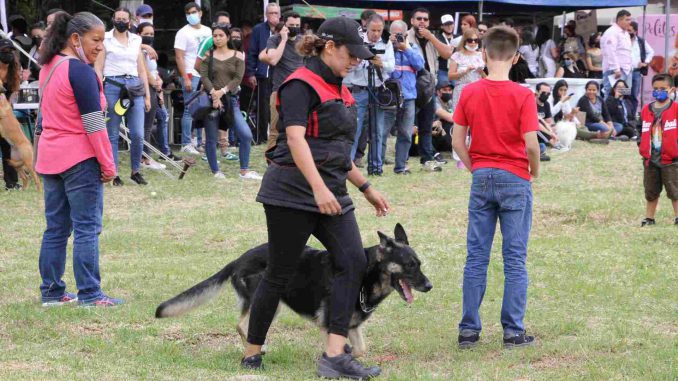 UNLA, sede del primer magno evento de adiestramiento canino en Michoacán