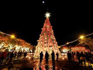 AÑO NUEVO JALISCO