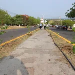 Apatzingán inicia el Mes del Medio Ambiente con acciones de reforestación y conciencia ecológica