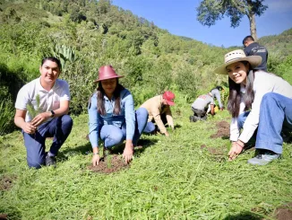Queréndaro Planta Futuro: Más de 2 mil Pinos en Jornada Ambiental Impulsada por Juventudes