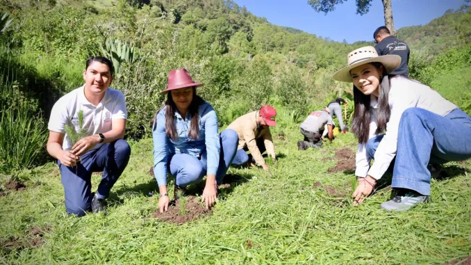 querendaro Queréndaro Planta Futuro: Más de 2 mil Pinos en Jornada Ambiental Impulsada por Juventudes