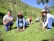 Queréndaro Planta Futuro: Más de 2 mil Pinos en Jornada Ambiental Impulsada por Juventudes